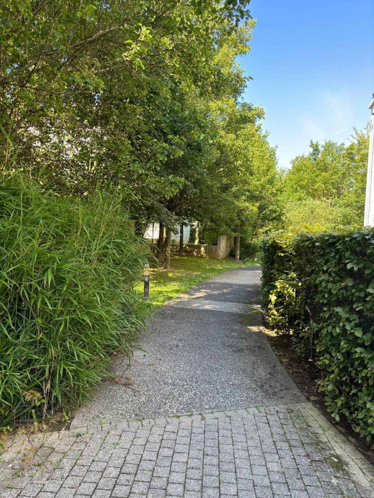 Appartement Magnolia 40M2, Parking Et Wifi Gratuit モンテヴラン エクステリア 写真